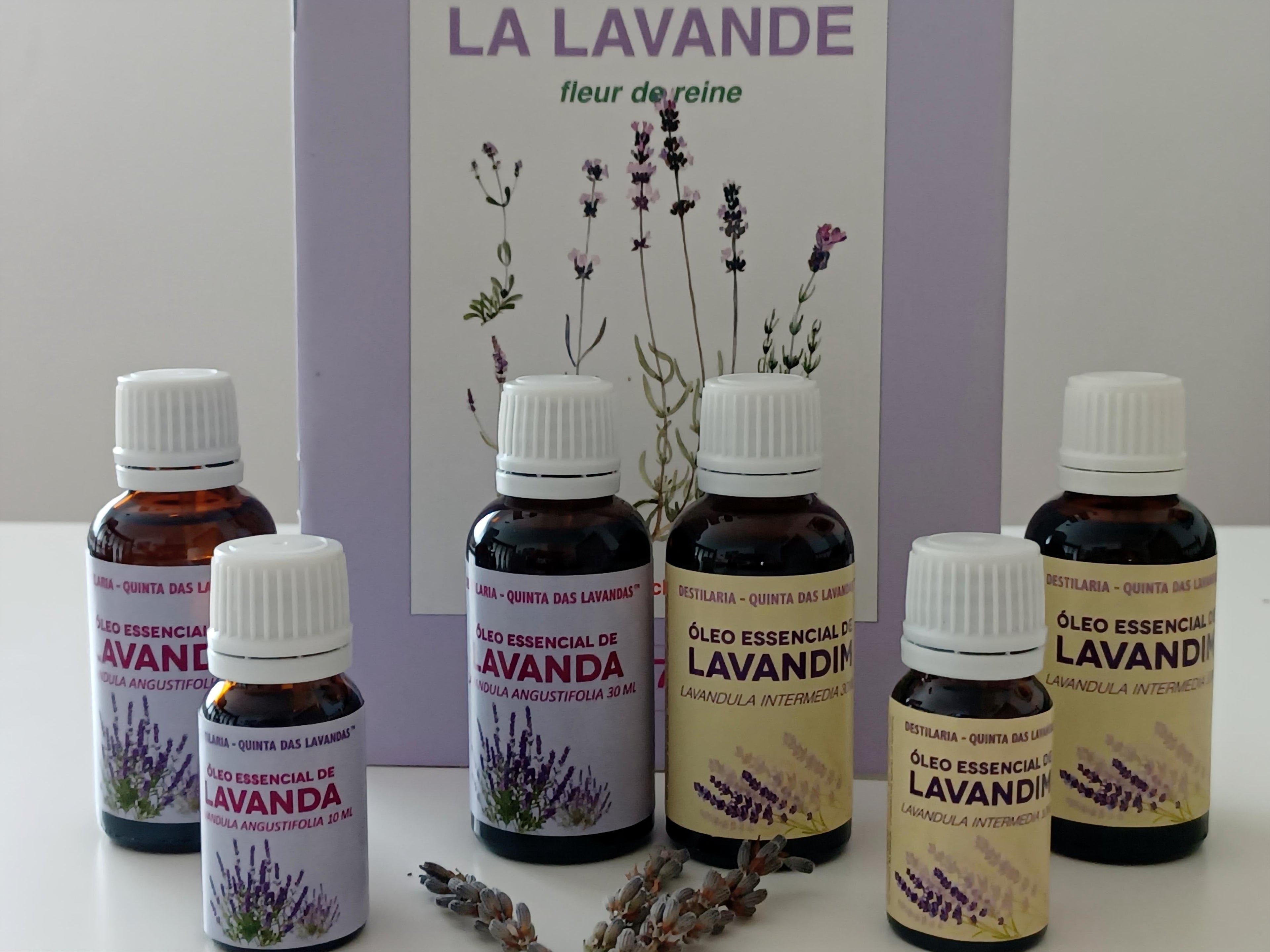 Aromas & Óleos Essenciais