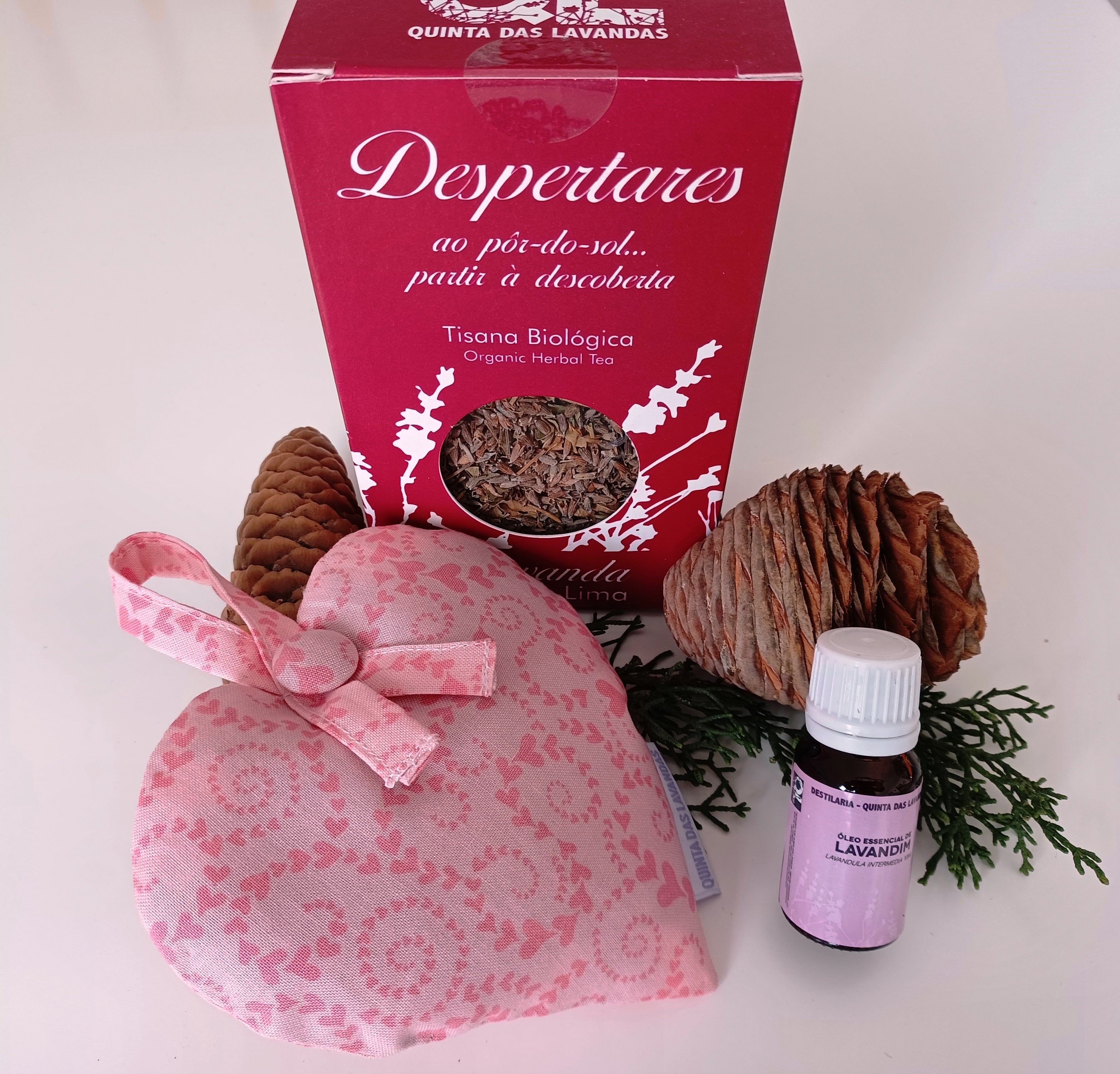 Conjunto  R - Portes Gratis