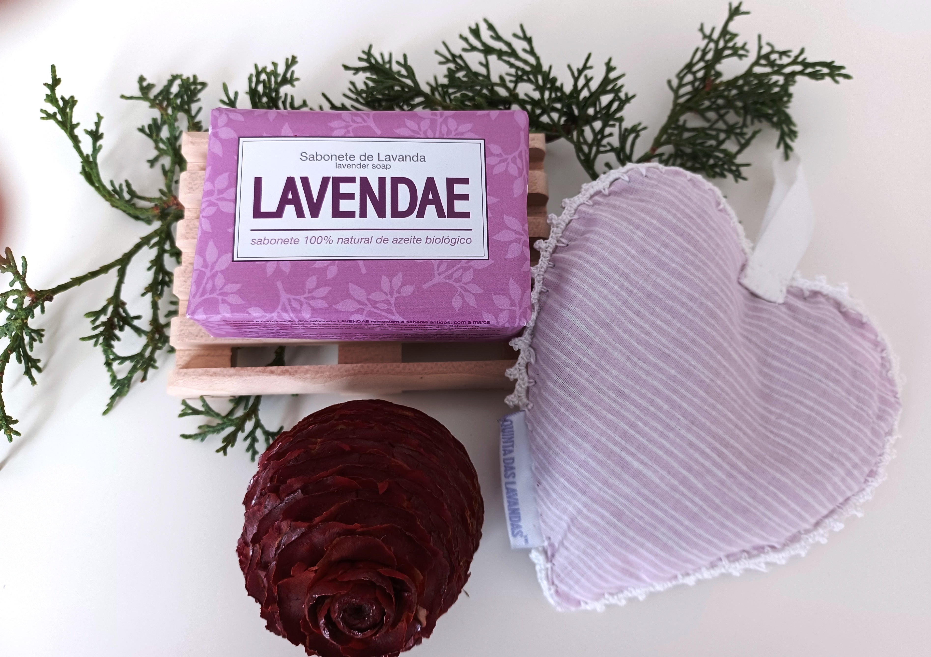 Conjunto V - Portes Gratis