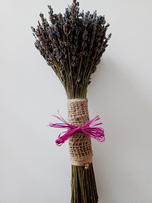 Bouquet de Lavanda - Portes Grátis